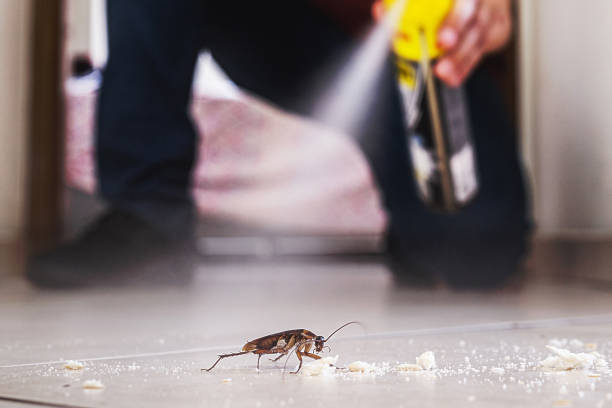 Best Best Pest Control Companies  in Waterloo, IL
