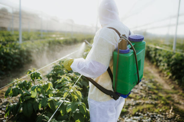 Best Affordable Pest Control Services  in Waterloo, IL